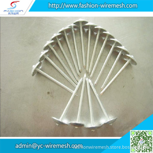 Factory Price roofing nail with round cap
